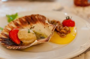 Scallop as a delicacy with shell intact