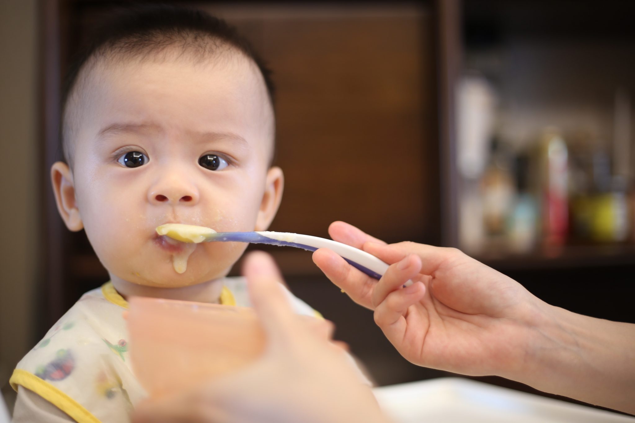 complementary-food-combinations-for-6-month-old-babies