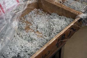 Characteristics of Anchovies