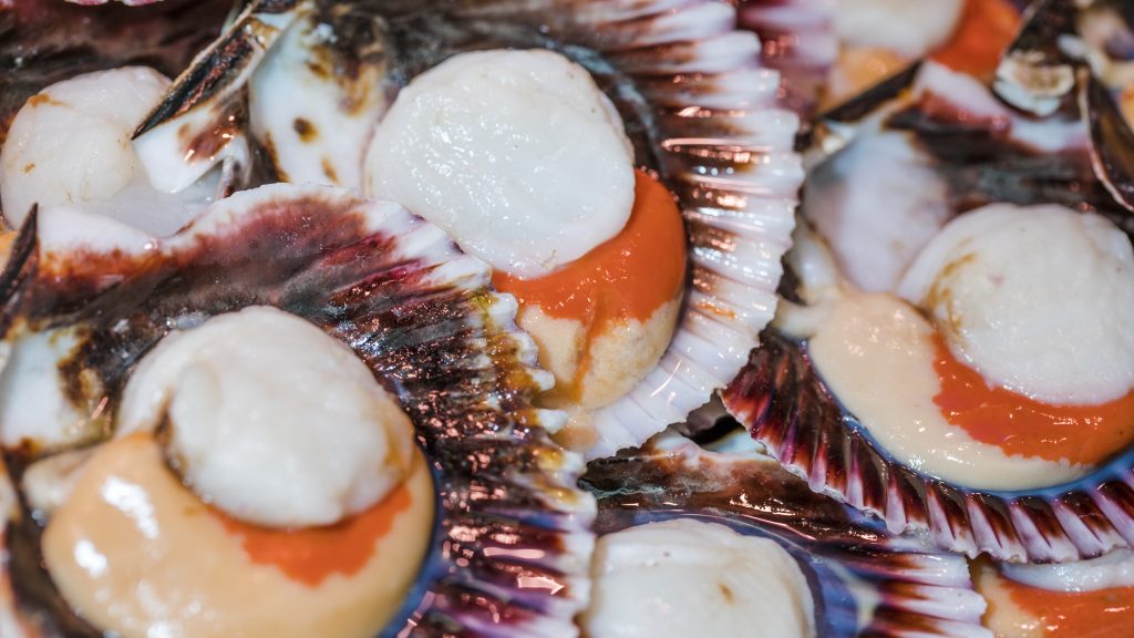 nutritional content of clams